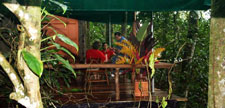 Costa Rica-Pacific Coast-Costa Rica Multi Sport